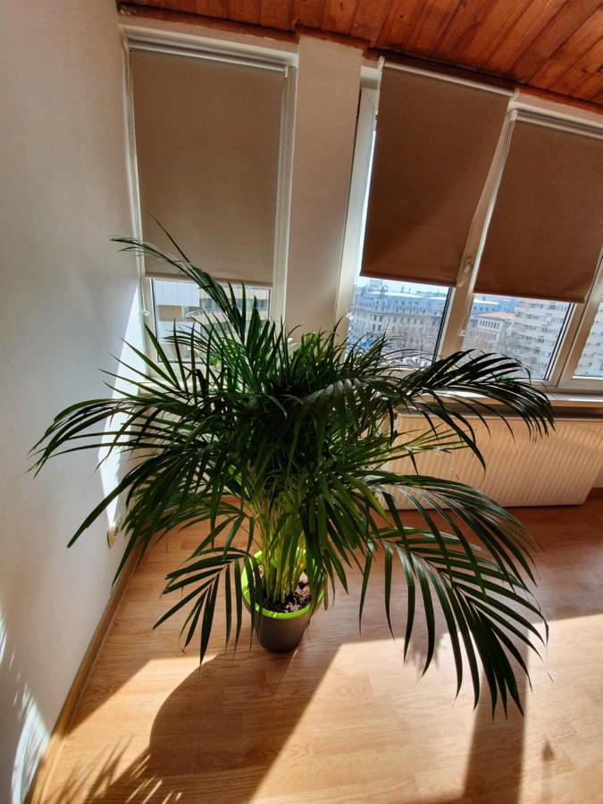 Ultracentral Apartments Bucharest Luaran gambar